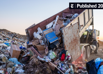 Garbage Truck Helper Jobs_ Apply Now for Local Openings