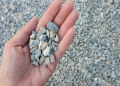Dump Truck Gravel Delivery Services & Cost Guide