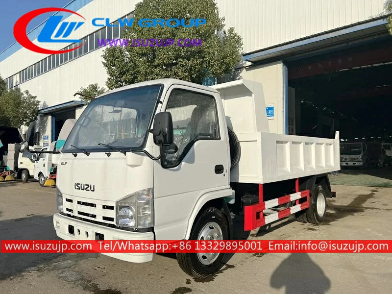 Isuzu Mini Dump Truck_ A Complete Guide for Buyers & Operators